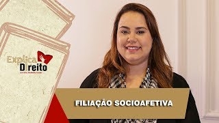 Explica Direito Filiação Socioafetiva  2019 [upl. by Groh]