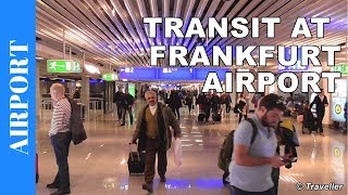 TRANSIT WALK AT FRANKFURT Airport FRA Terminal 1  Connection Flight Transfer Arriving amp Departing [upl. by Aisercal]